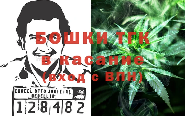 дживик Каменка
